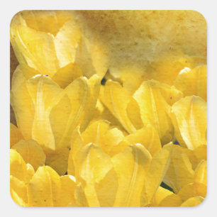 Adesivo Quadrado Tulipas amarelas da aguarela com Chevron