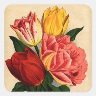Adesivo Quadrado Tulipas Coloridas Antigas Impressão