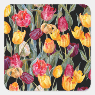 Adesivo Quadrado Tulipas coloridas, fundo preto isolado.