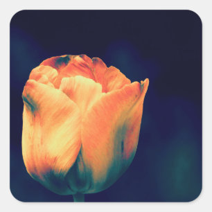 Adesivo Quadrado Tulipas laranja e verde *Personalizar*