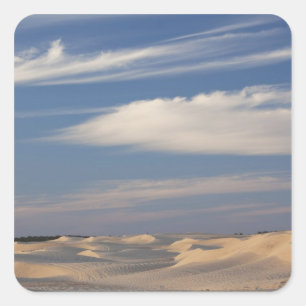 Adesivo Quadrado Tunísia, Deserto do Saara, Douz, Grande Duna, crep