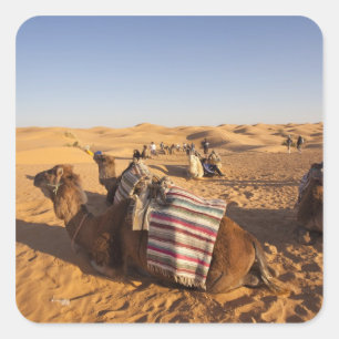Adesivo Quadrado Tunísia, Zona de Ksour, Ksar Ghilane, Grand Erg 3