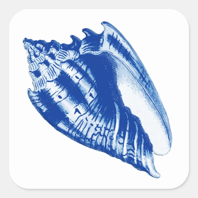 Adesivo Quadrado Turban Conch Shell, Indigo Azul e Branco (Frente)