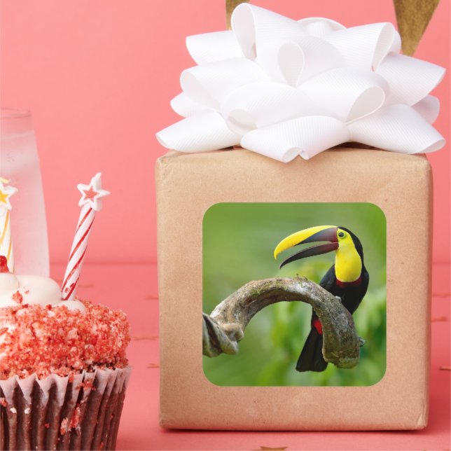 Adesivo Quadrado Turiano sentado no galho da floresta (Festa)