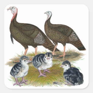 Adesivo Quadrado Turkeys East Wild Family