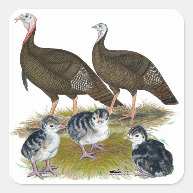Adesivo Quadrado Turkeys East Wild Family (Frente)