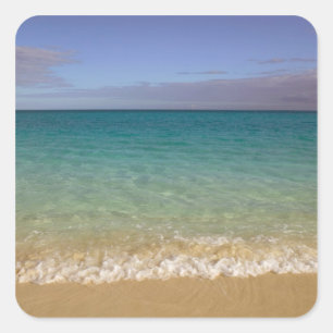 Adesivo Quadrado Turks e Caicos, Ilha Providenciales, Grace 2