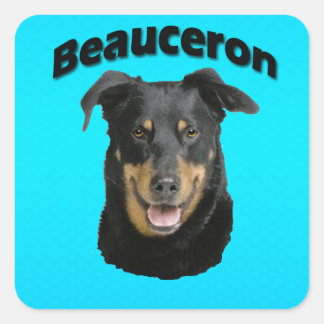 Adesivo Quadrado Turquesa de Beauceron