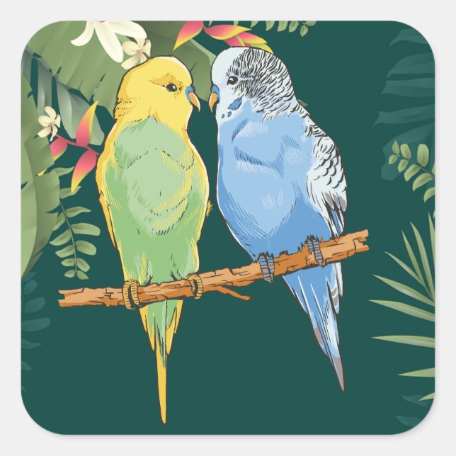 Adesivo Quadrado Two cute blue and green Budgies (Frente)