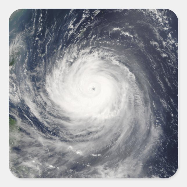 Adesivo Quadrado Typhoon Talim (Frente)