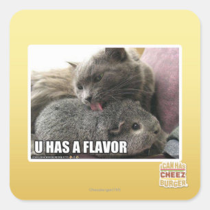 ADESIVO QUADRADO U TEM UM SABOR