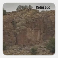 Um Bonito Colorado Photo Stickers