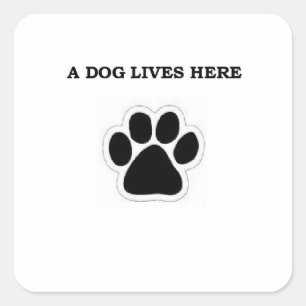 Adesivo Quadrado Um Cachorro Vive Aqui