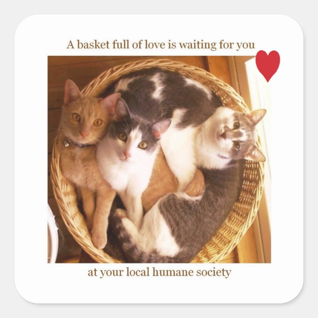 Adesivo Quadrado Um cheio de amor está esperando por você #2... (Frente)