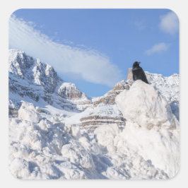 Adesivo Quadrado Um Corvo Na Crowfoot Mountain Alberta Canadá