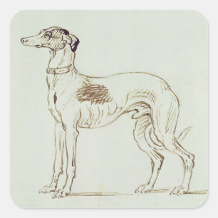 Adesivo Quadrado Um galgo, enfrentando à esquerda (caneta & tinta