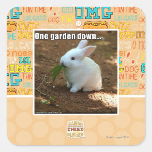Adesivo Quadrado Um jardim Down�