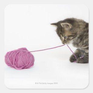 Adesivo Quadrado Um jogo novo do gatinho do gato malhado