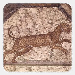 Adesivo Quadrado Um leopardo