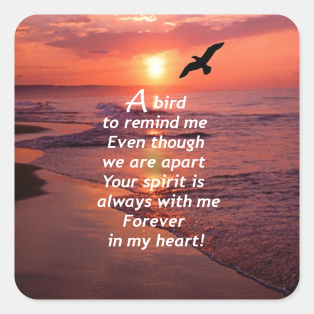 Adesivo Quadrado Um pássaro para me lembrar (Frente)