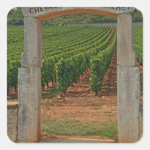 Adesivo Quadrado Um portico de pedra para o vinhedo