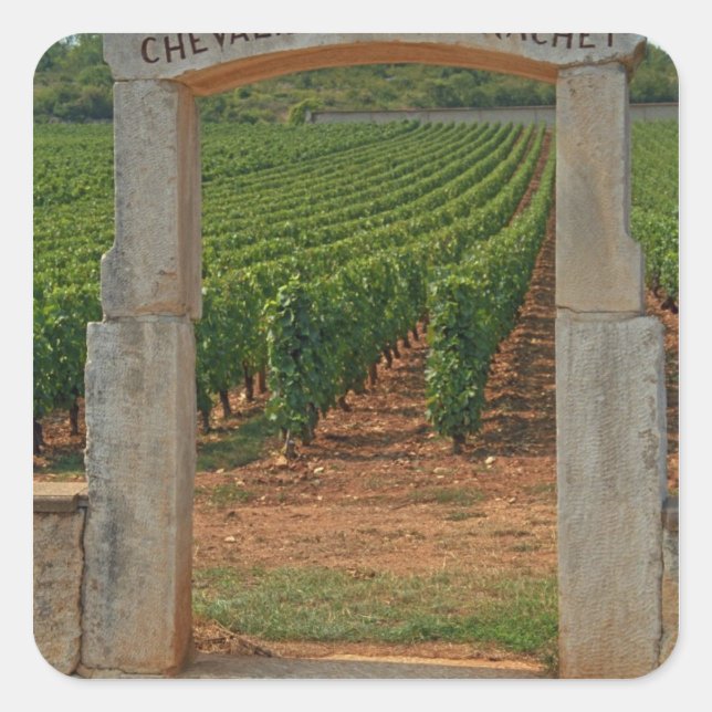 Adesivo Quadrado Um pórtico de pedra para o vinhedo (Frente)