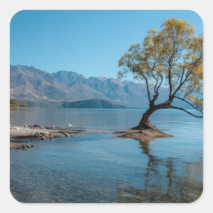 Adesivo Quadrado Uma Árvore em um Lago