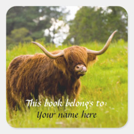 Adesivo Quadrado Uma Vaca Highland "Este livro pertence a" Sticker