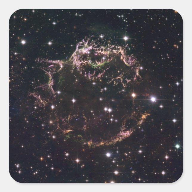 Adesivo Quadrado Uma visão detalhada sobre os restos mortais (Frente)