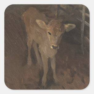 Adesivo Quadrado Uma vitela do jérsei