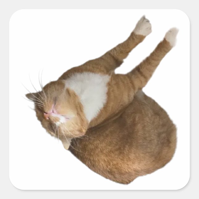 Adesivo Quadrado Upside-Down Sunshine (Frente)