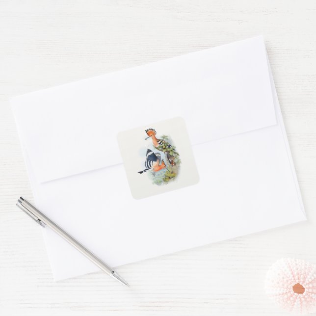 Adesivo Quadrado Upupa Epops (Envelope)