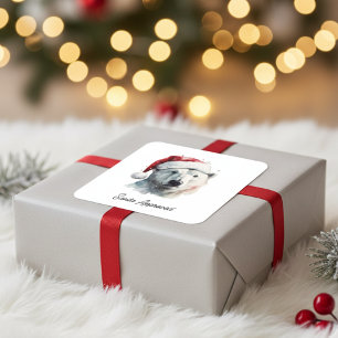 Adesivo Quadrado Urso Alegria Tilintante, personalizado