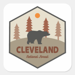 Adesivo Quadrado Urso da Floresta Nacional de Cleveland