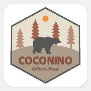 Adesivo Quadrado Urso da Floresta Nacional de Coconino
