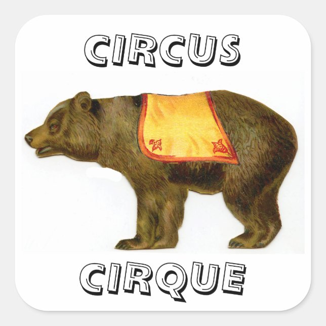 Adesivo Quadrado Urso de espetáculo de circo (Frente)