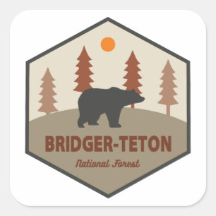 Adesivo Quadrado Urso Florestal Nacional Bridger-Teton