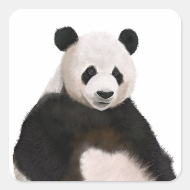 Adesivo Quadrado Urso Panda Bonito Fluffy (Frente)
