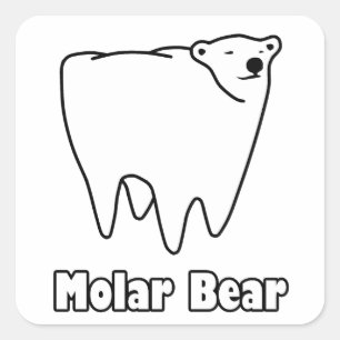 Adesivo Quadrado Urso polar do dente do urso do Molar