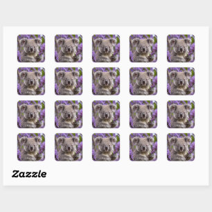 Adesivo Quadrado Urso Purple Jacaranda Koala