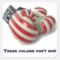 USA Boxing Glove