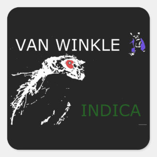 ADESIVO QUADRADO VAN WINKLE INDICA