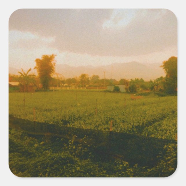 Adesivo Quadrado Vang Vieng - Laos  (Frente)