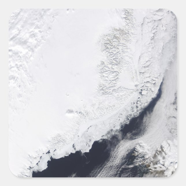Adesivo Quadrado Vários tipos de gelo marinho (Frente)