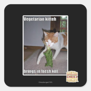 Adesivo Quadrado Vegetariano Kitteh