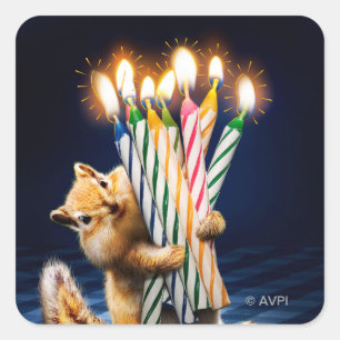 Adesivo Quadrado Velas de Aniversário de Esquilo