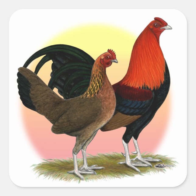 Adesivo Quadrado Velho Jogo Inglês Bantam: BB Red (Frente)