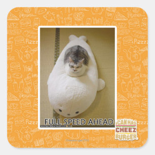 Adesivo Quadrado Velocidade máxima adiante