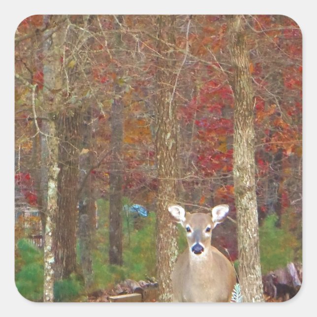 Adesivo Quadrado Vendedor de Natal (Frente)