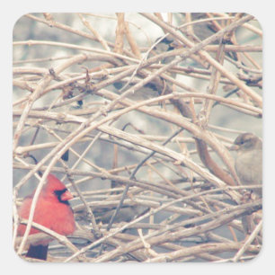 Adesivo Quadrado Vermelho em um sonho inverno por angelandspot.
